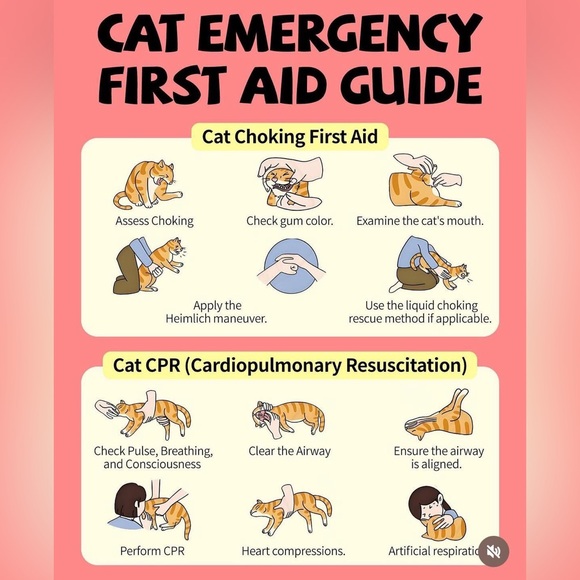 $2 Heart and paw print stainless steel stud earrings. New black. $2 if b… - Picture 11 of 16